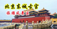 草比51视频中国北京-东城古宫旅游风景区